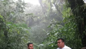 learning about the cloudforest