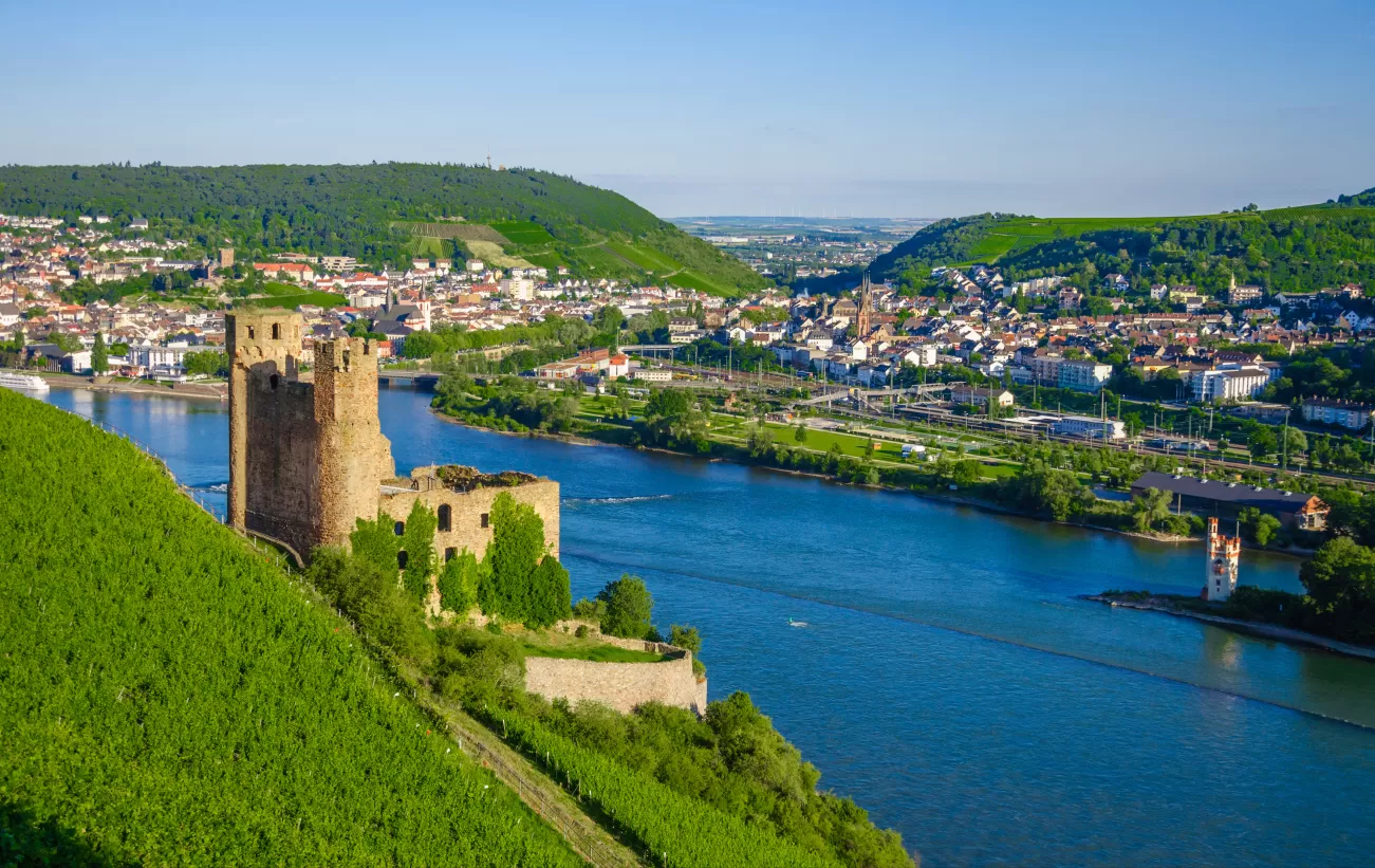 Ehrenfels Castle on Rhine River near Rudesheim
