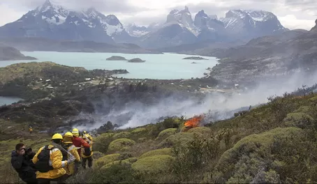 Since 1985, over 1/5 of Torres del Paine National Park's 242,000 acres have been ravaged by man-made fires