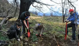 Local high school students participate in reforestation of Torres del Paine