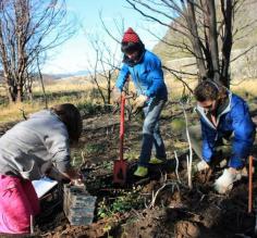 Local high school students participate in reforestation of Torres del Paine during the campaign 20 mil lengas para Paine