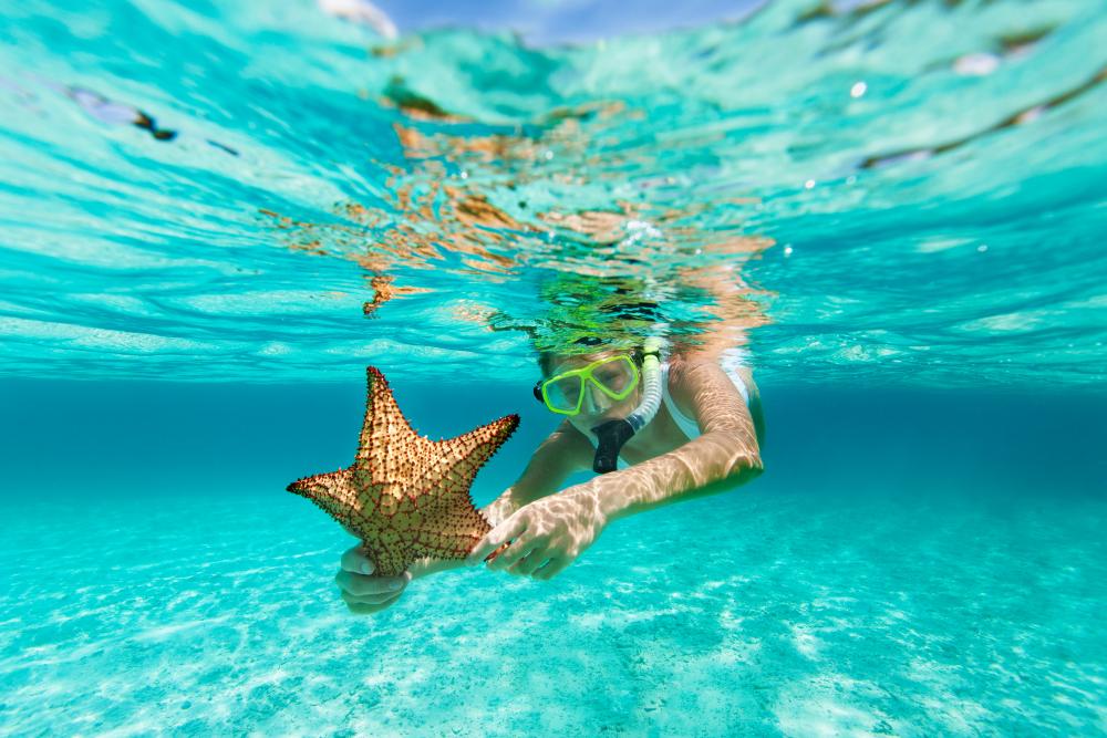 3 Exceptional Anguilla Snorkeling Trips for 20242025