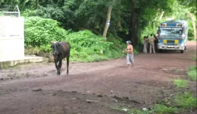 some of the things you will see on a road in Nicaragua