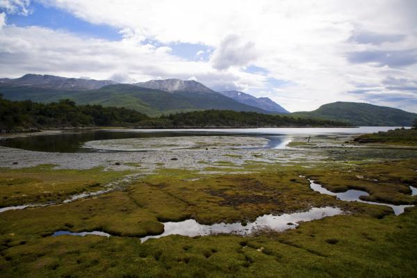 Tierra Del Fuego The History Of Indigenous People In A Harsh Land