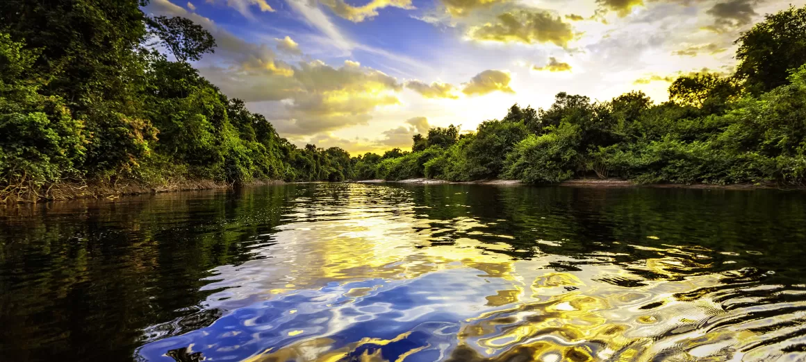 River in the Amazon Rainforest
