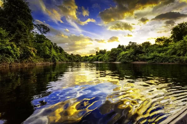 River in the Amazon Rainforest