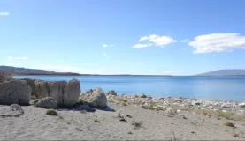 Thrombolites on the shores of Lake Sermiento