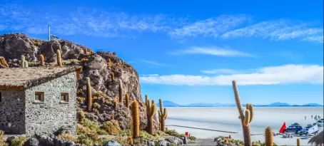 Isla del Pescado at Salar de Uyuni in Bolivia