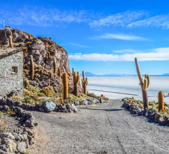 Isla del Pescado at Salar de Uyuni in Bolivia