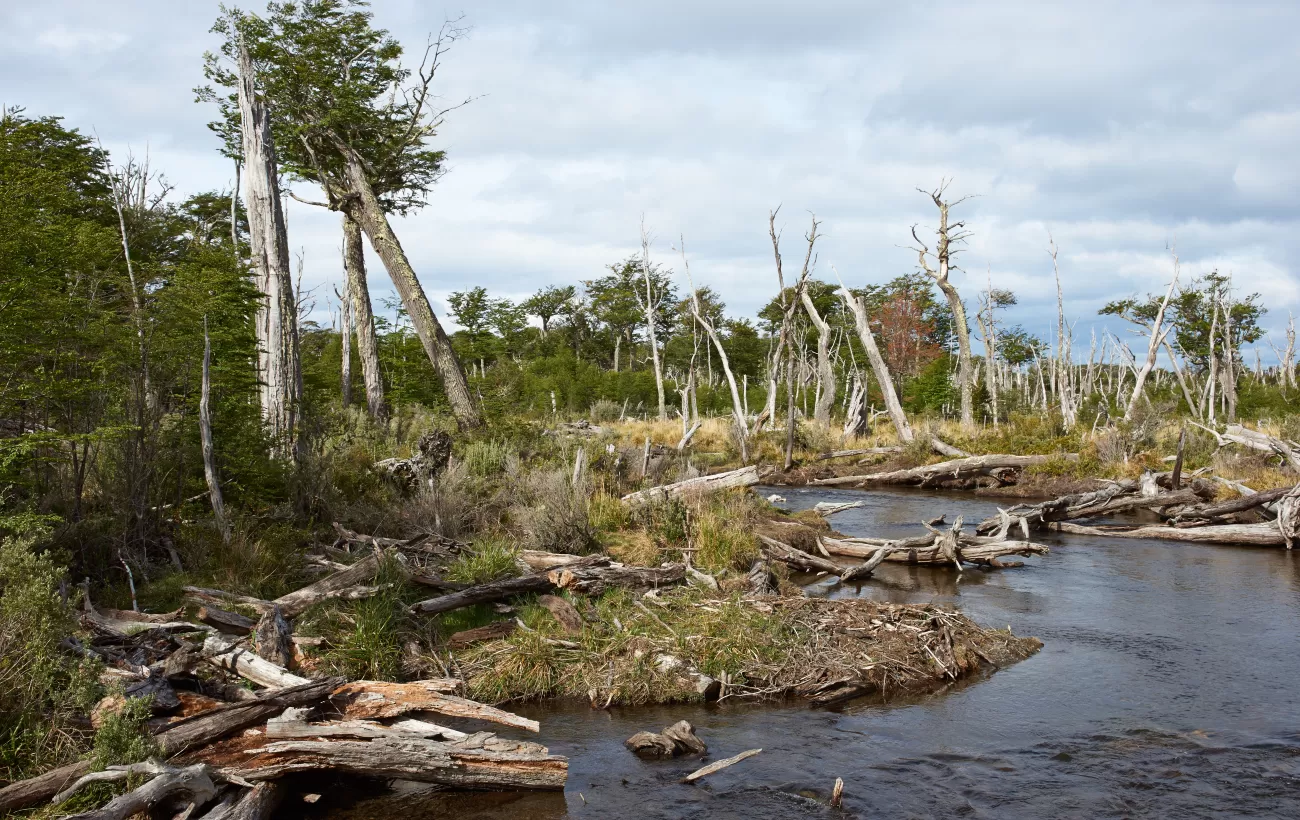 Cape Horn Biosphere