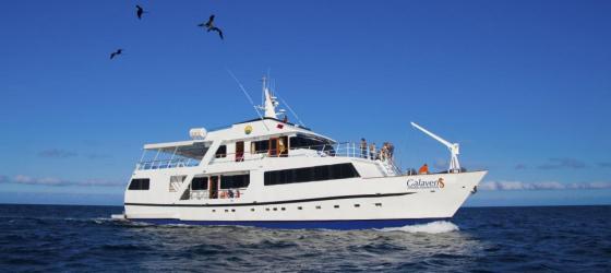 Discover the Galapagos aboard the Galaven I