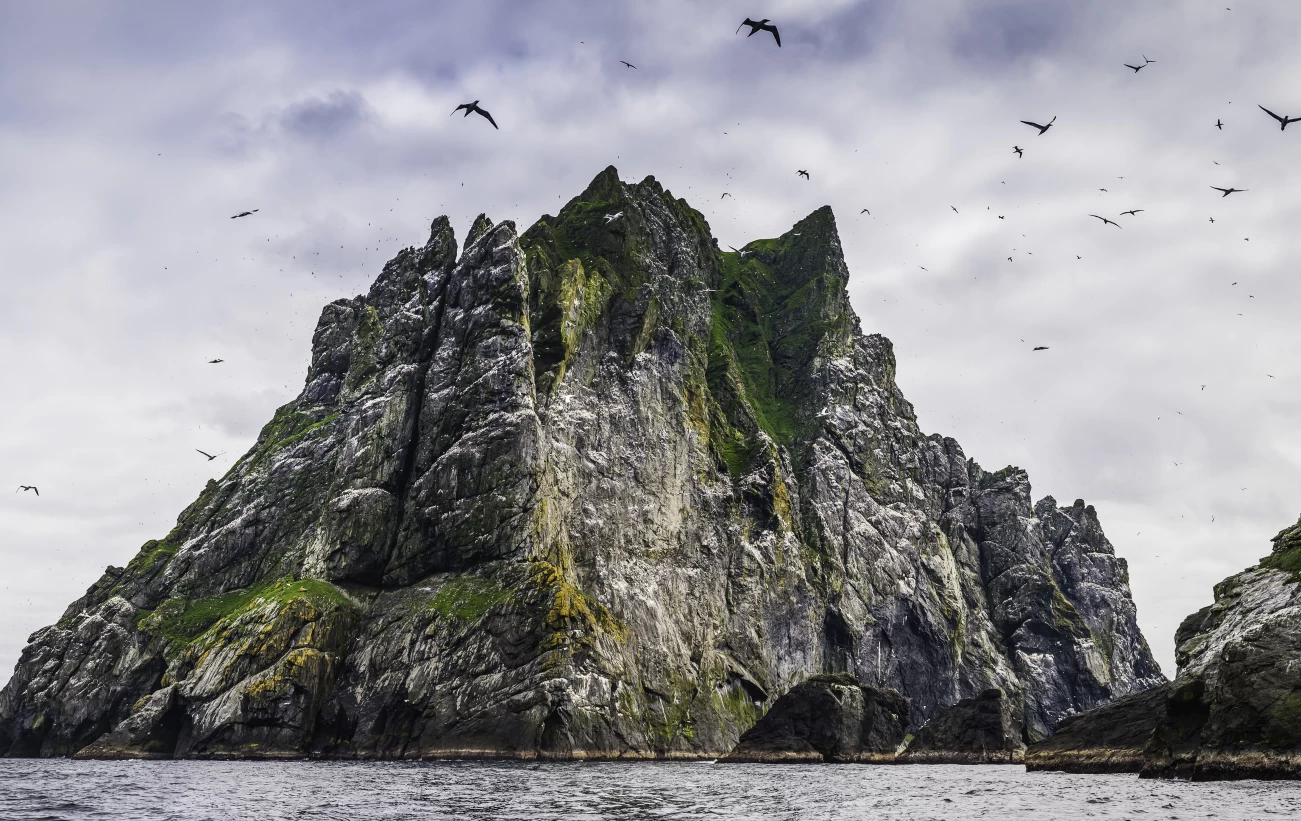 Seabirds flying over dramatic ocean island cliffs St Kilda
