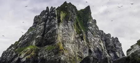 Seabirds flying over dramatic ocean island cliffs St Kilda