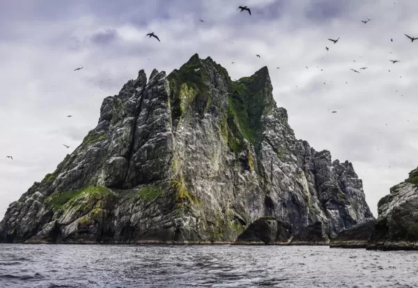 Seabirds flying over dramatic ocean island cliffs St Kilda