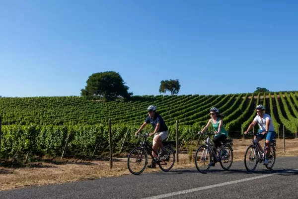 Chile Wine Adventure