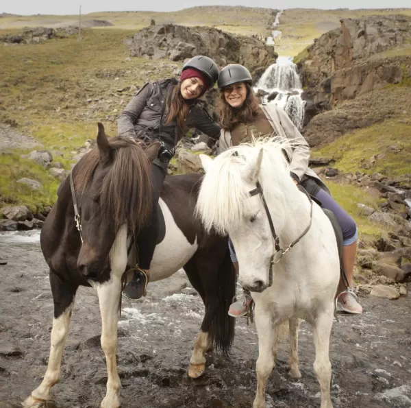 Icelandic Horseback ride