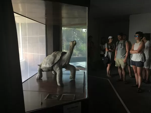 The Lonesome George exhibit at the Darwin Center.