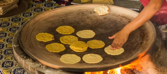 Cooking tortillas