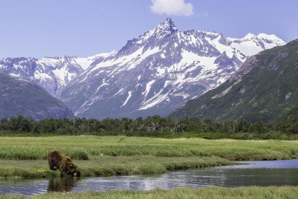 Katmai Wilderness Lodge - Visit a bear-viewing lodge on your Alaska tour