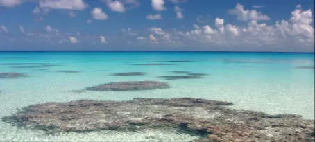 Idyllic South Pacific