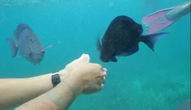 Our guide feeding a fish friend.