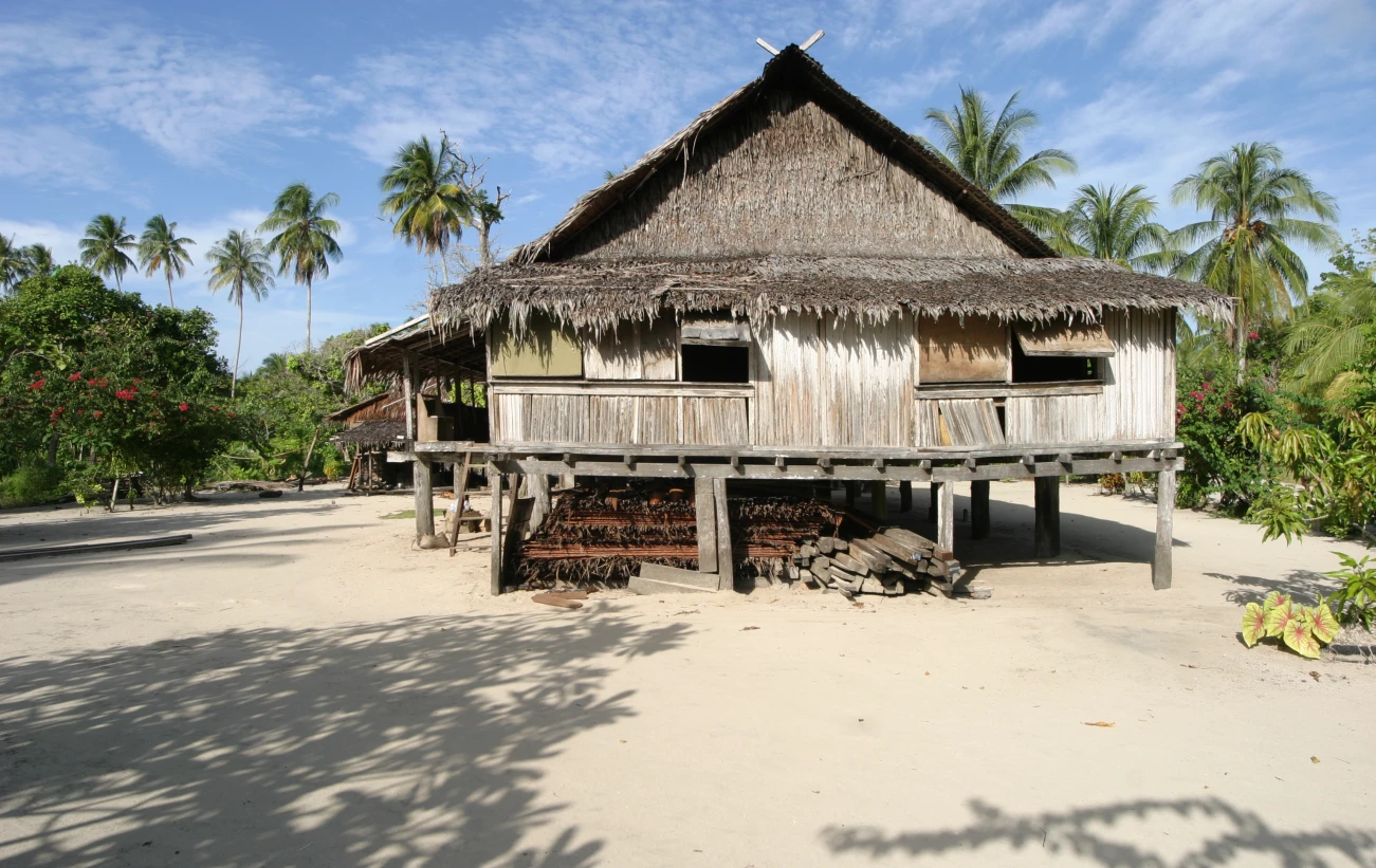 Traditional house of the Sepik people, Papua New Guinea