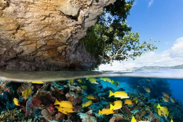 Tropical Island and Underwater Paradise for Divers