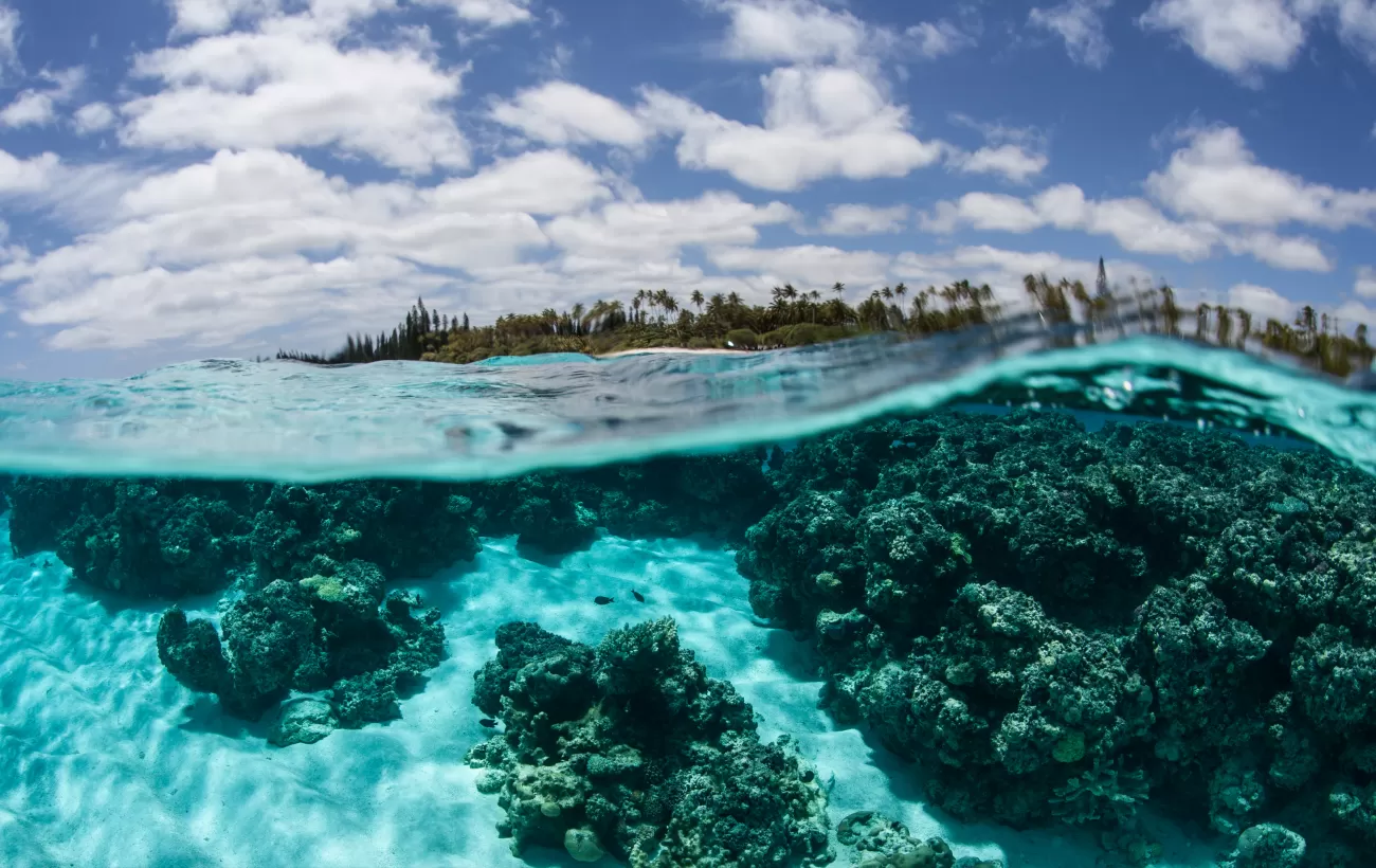 Clear Water and Tropical Island