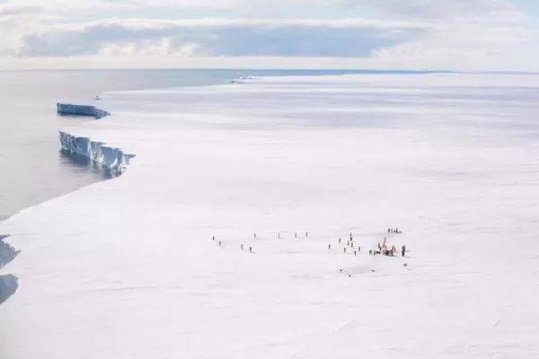 Antarctic view from above