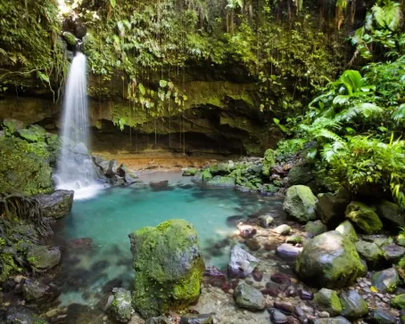 Tropical waterfall and turquoise pool in lush forest