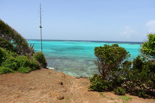 15-Day Barbados to Panama Cruise aboard the Royal Clipper