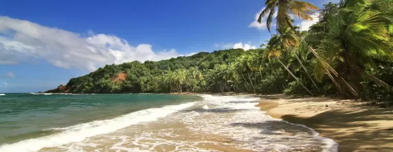 Beautiful beach in Dominica