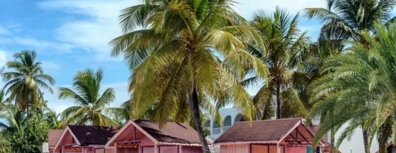 Pink beach huts in the Caribbean
