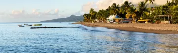 Tropical Caribbean Beach in Martinique