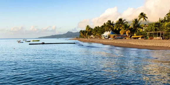 Tropical Caribbean Beach in Martinique