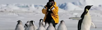 Photographing emperor penguins on Snow Hill Island