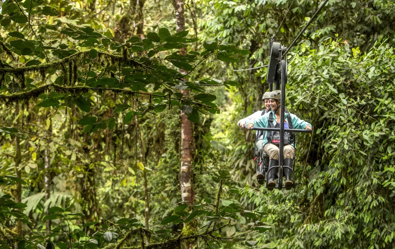 Sky bike in the rainforest