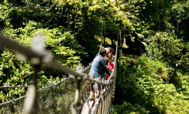 Rios Tropicales Hanging Bridge