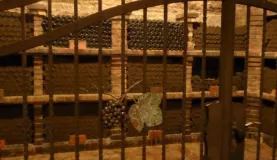 Ilok Wine Cellar Croatia