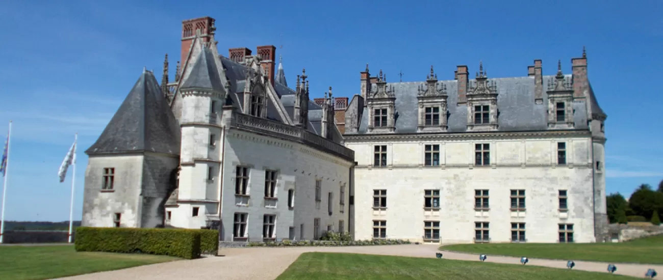 Nymphea Chateau dAmboise