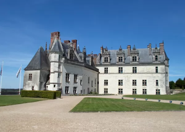 Nymphea Chateau dAmboise