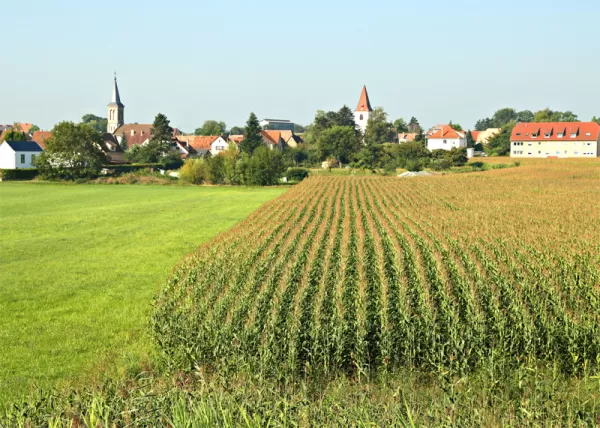 Strasbourg fields