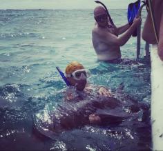 Holding sharks in Shark Ray Alley