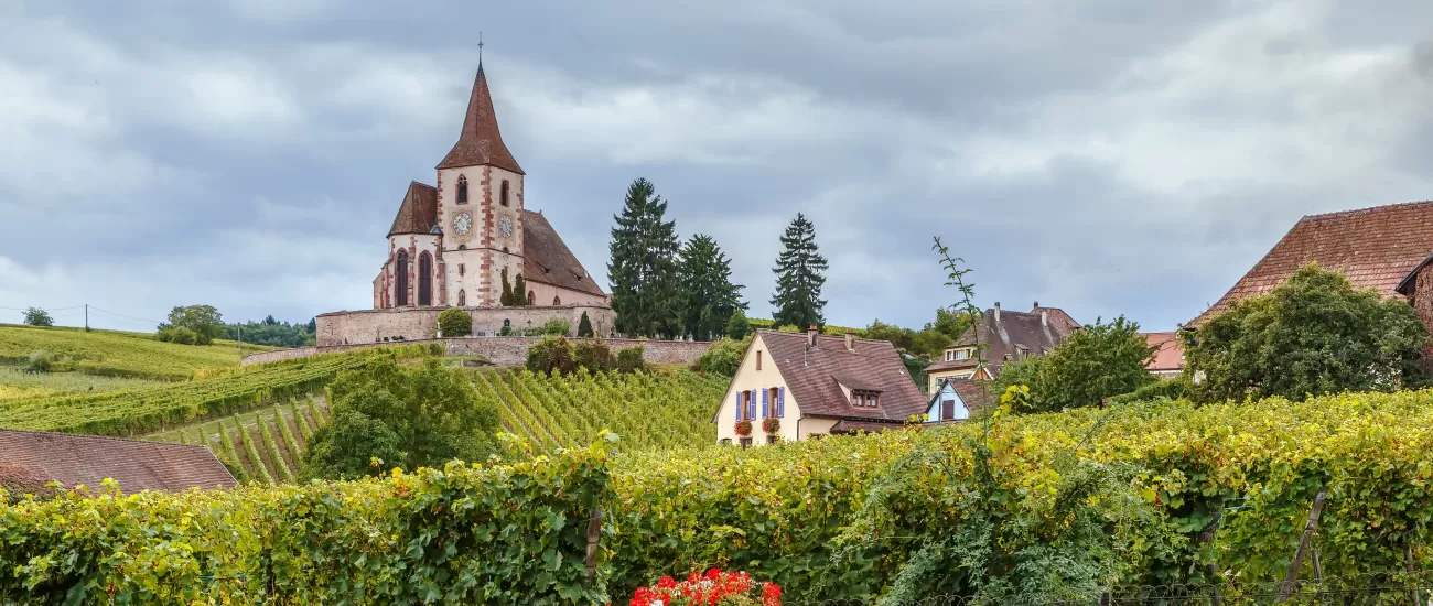 Church and surrounding vineyards in Alsace