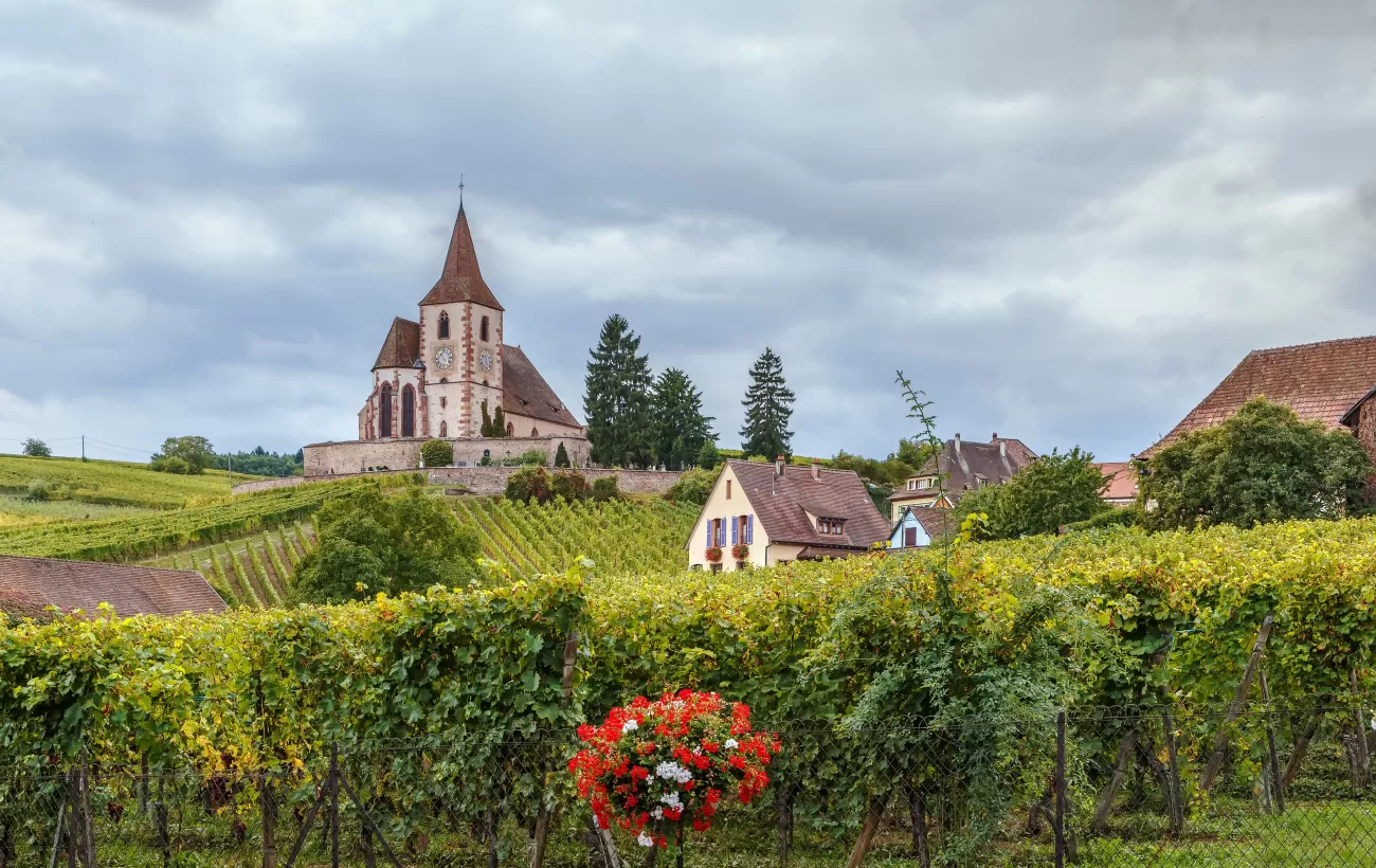 Church and surrounding vineyards in Alsace