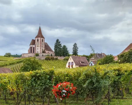 Church and surrounding vineyards in Alsace