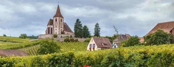 Church and surrounding vineyards in Alsace