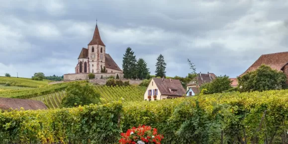 Church and surrounding vineyards in Alsace