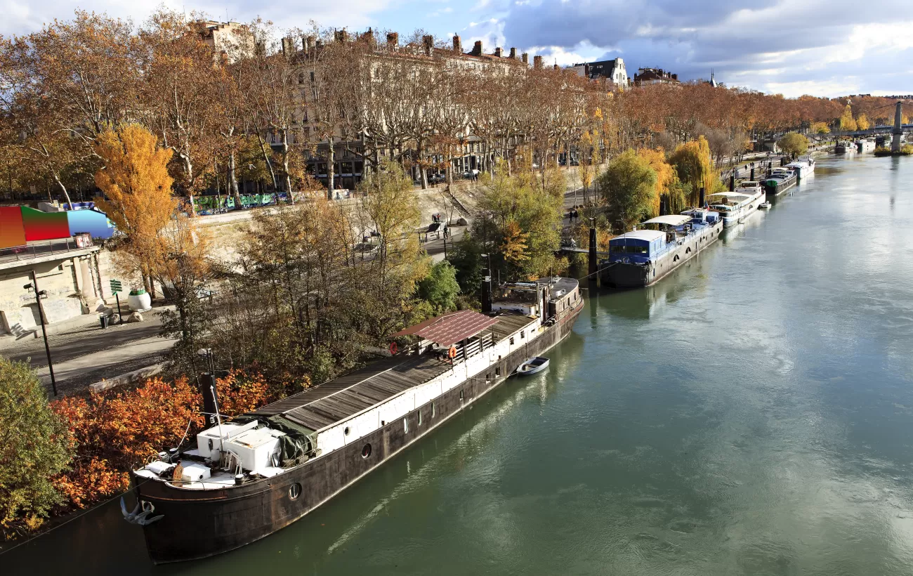 Cruise through the banks of the Rhone River