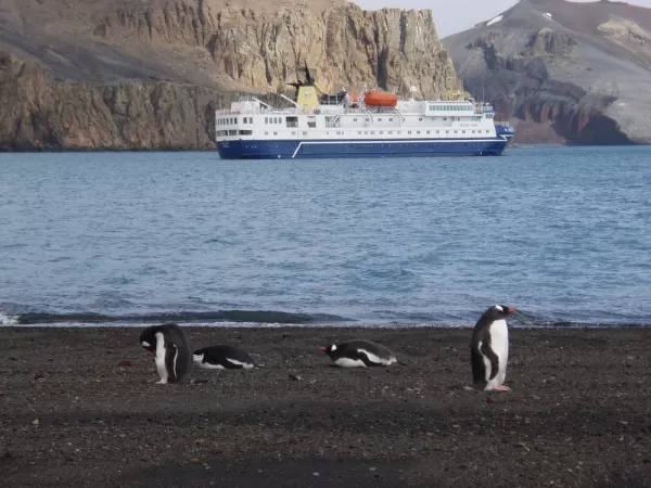 Penguins at Deception Island